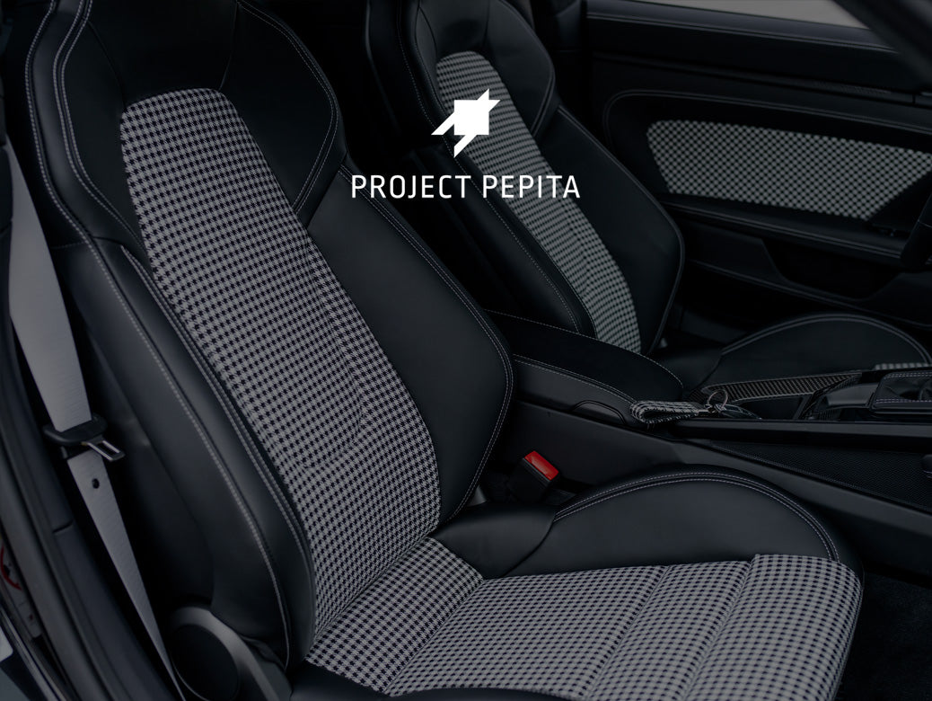 Load video: Pepita Workshop